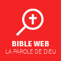 Bible Web