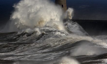 Comme un phare dans la nuit